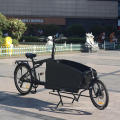 electric bike cargo ebikes new design cargo ebikes